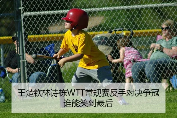 王楚钦林诗栋WTT常规赛反手对决争冠谁能笑到最后